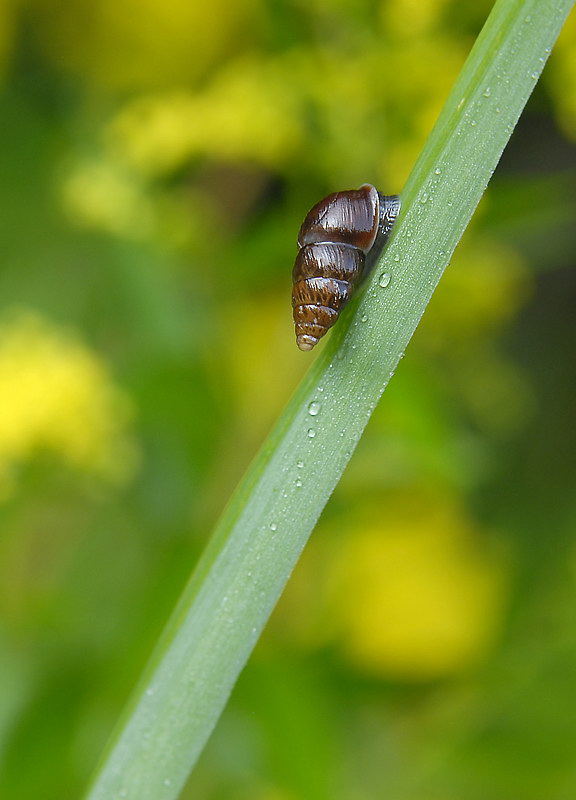 Tiere_DDC2929 Kopie.jpg